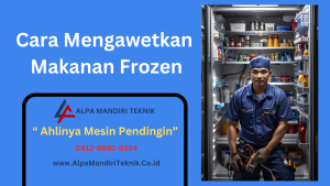 Cara Mengawetkan Makanan Frozen