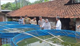 BUMDes Menjadi Pengelola Utama Program Ketahanan Pangan 2025